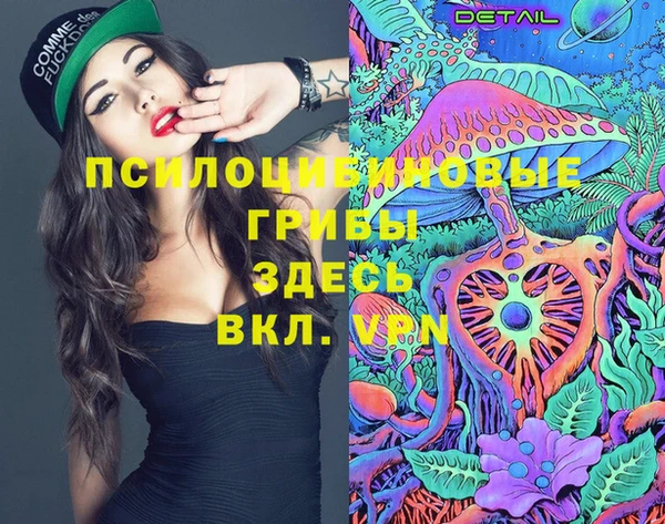 соль ск Верхний Тагил