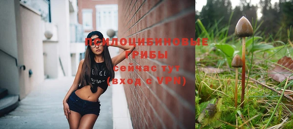 соль ск Верхний Тагил