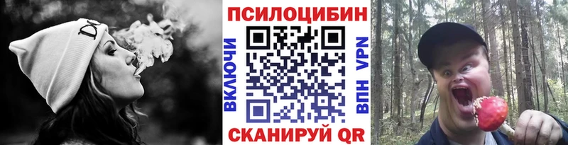 OMG зеркало  Электрогорск  Псилоцибиновые грибы мицелий 